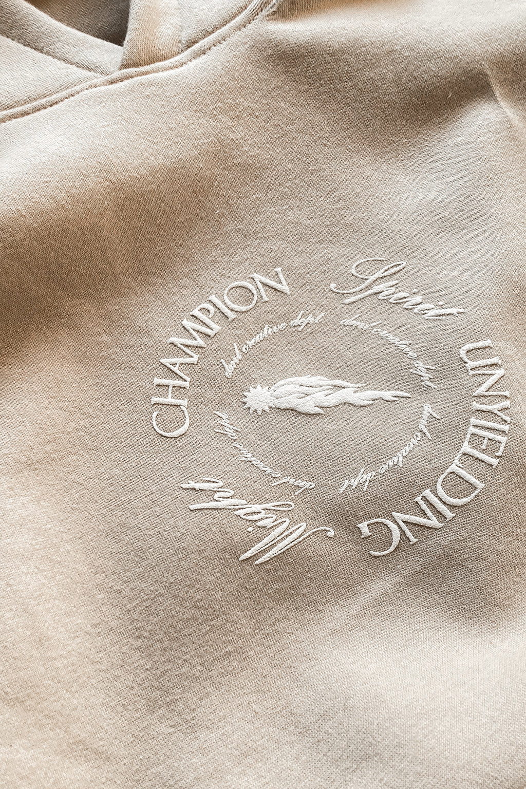 CHAMPION SPIRIT OVERSIZED FIT HOODIE - BEIGE